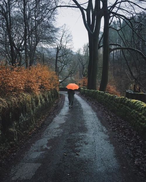 underthefallingleaves