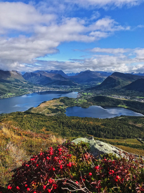 allthingseurope:Norway (by cjoni)   Wow….