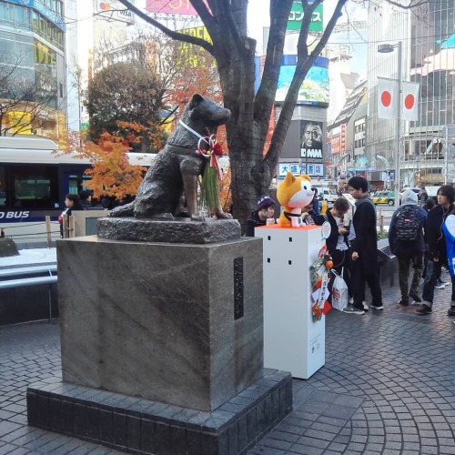 Always pay respects to the Patron Saint of Good Boies. . . . . . #japan #travel #shibuya #hachiko #ハ