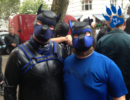 Rufus And Friends Visiting IN DOG WE TRUST-Party @ Scheune Berlin