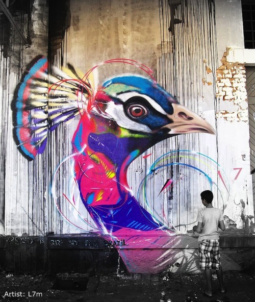 Sex mymodernmet:  Graffiti birds by Luis Seven pictures