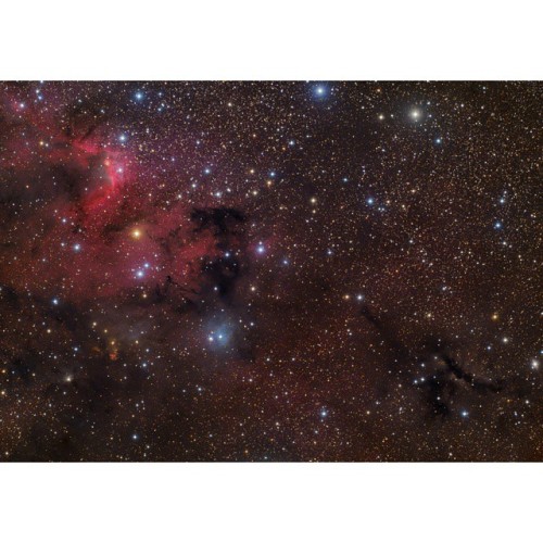 The Light, the Dark, and the Dusty #nasa #apod #nebula #starfields #milkyway #galaxy #constellation  #cephus #molecularcloud  #sharpless155 #sh155 #cavenebula #lyndsdarknebula #ldn1210 #interstellar #herbig-haro #hh168 #nebulae #astronomical #skyscape