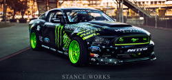 scoobies-n-inkedcuties:  JRs 2013 RTR Mustang. It is true that while every show car is not a race car, every race car is a show car. 