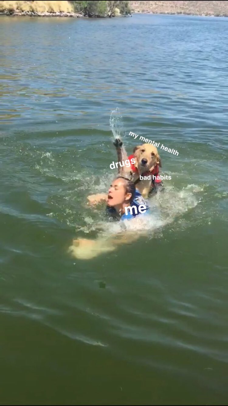 He's still a good doggo