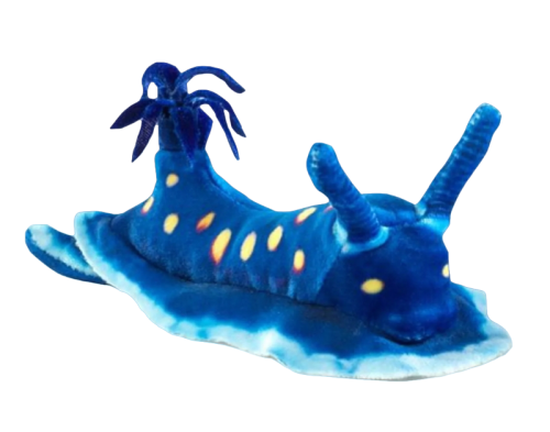 A variety of plush sea slugs and nudibranches.