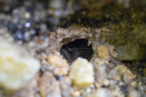 Pics from my rock collecting adventure at Cascade Springs pt1Photos By Marcelle Vielot Instagram @Gr