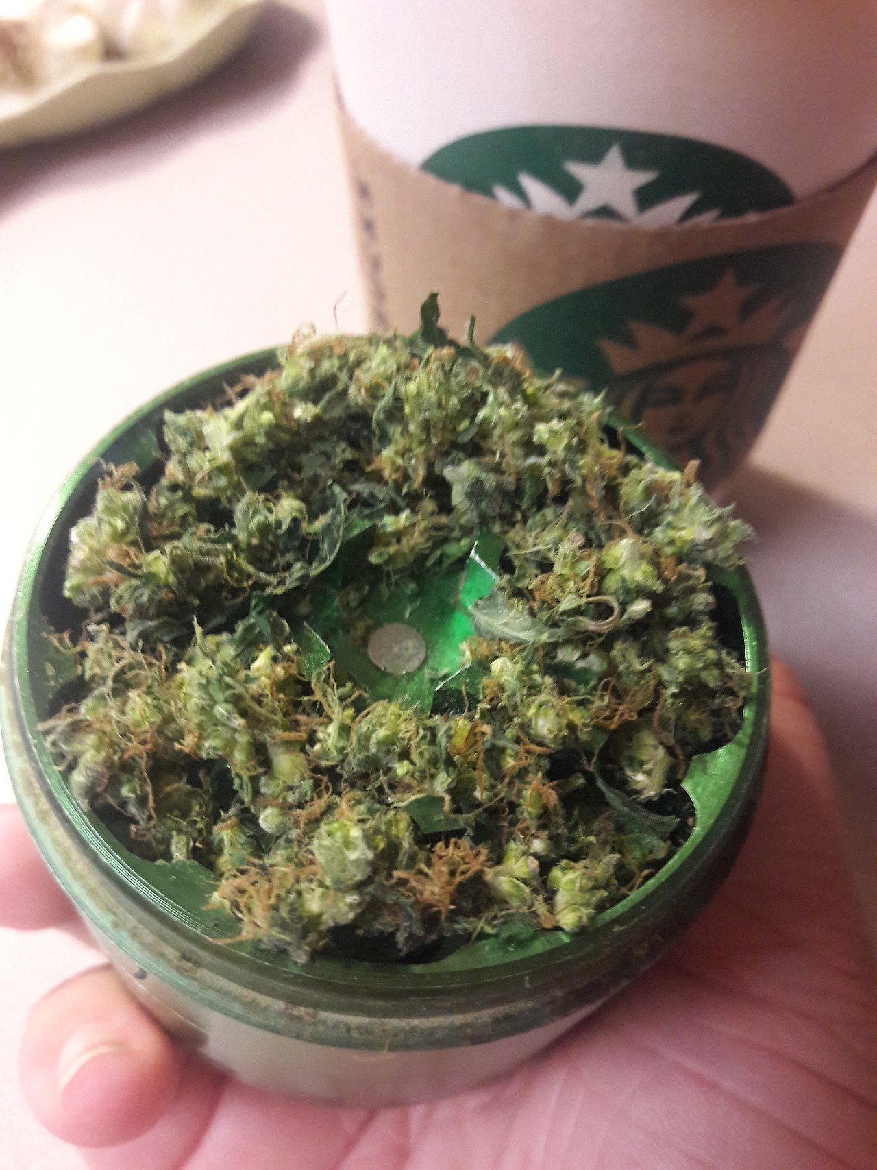 bloomybabe:  mean greens 👑