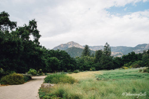 morningcallsphotography:Santa Barbara Botanic GardenSanta Barbara, California©morningcallsphoto