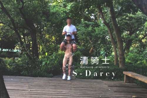 s-darcy7:从午后到黄昏，骑马代步，享受郊游的乐趣。