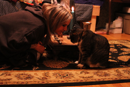 queerbeldam: Kitties can be very distracting during a ritual. 