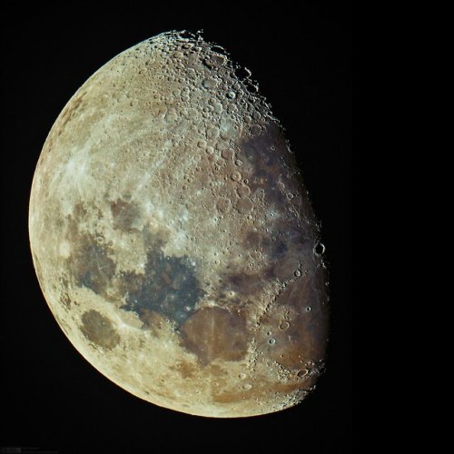 Gibbous Moon image credit: Paul Stewart
