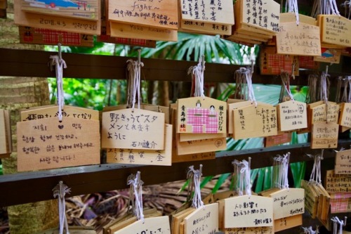 青島神社⛩