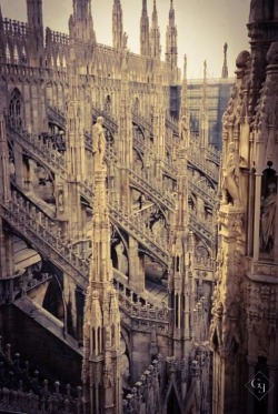 gentlemansessentials:  Milan Cathedral  Gentleman’s