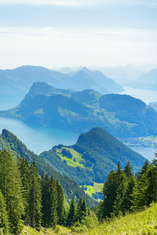 tulipnight:Mount Pilatus by Marina Igam