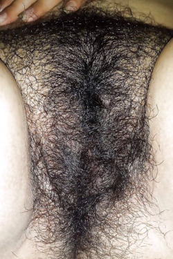 upforfunn:  hairypussy6969:  Dream pussy