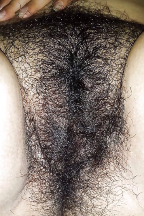 hairypussy6969:Dream pussyLovely pattern
