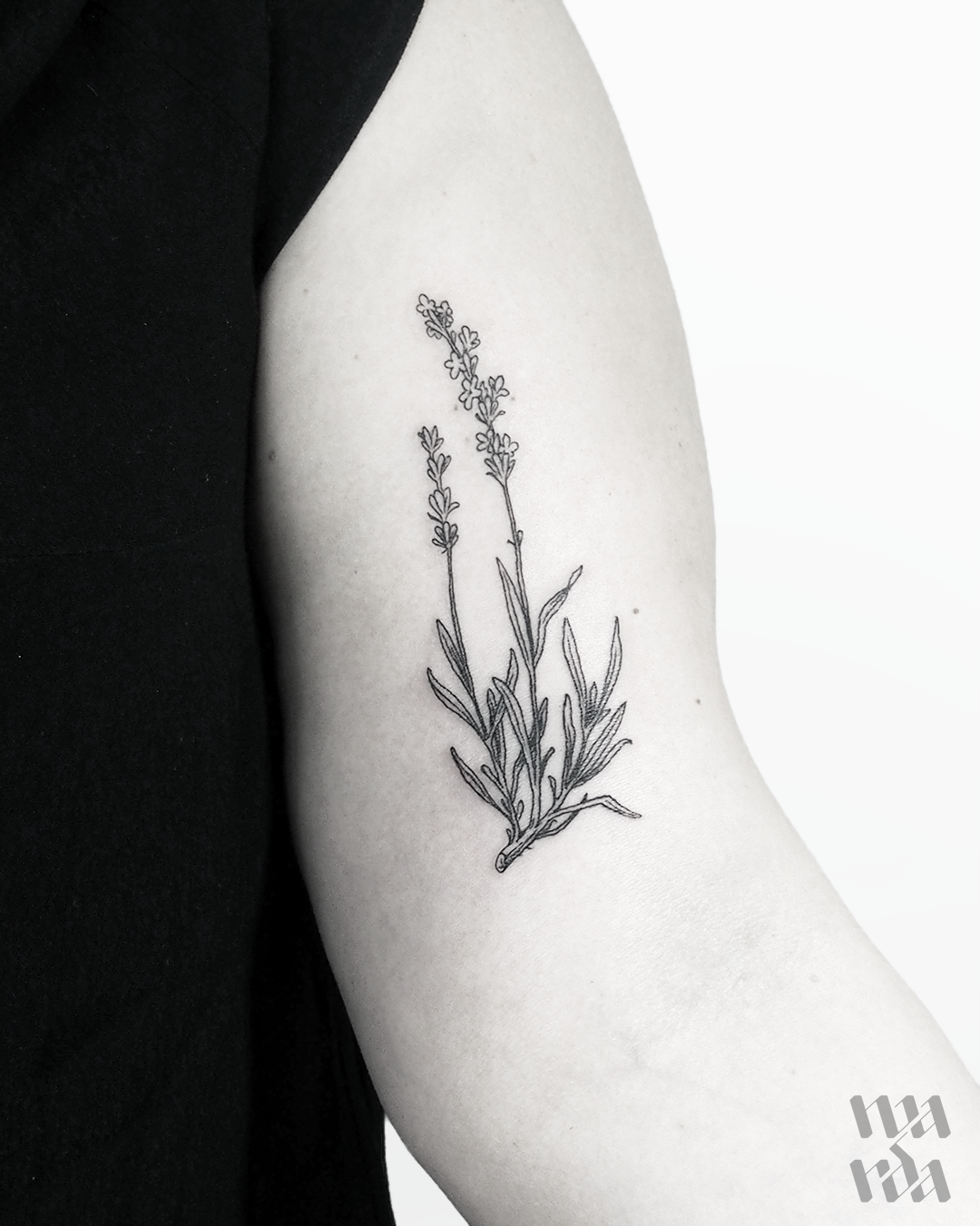 Top Most 2020 Lavender Tattoos Searched On Net  Paperblog