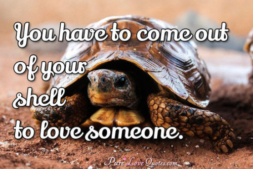 Pure Love Quotes You Have To Come Out Of Your Shell To Love