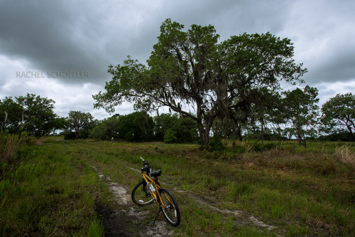 Biking in Florida