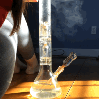 thcolleen:  Love my bong (Jim Morrison’s voice)