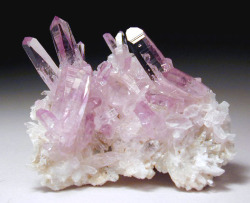 fuckyeahmineralogy:  Amethyst, which is actually Quartz that is irradiated by Iron (Fe3+) for silicon, acting as a trade element in the crystal structure of the specimen.