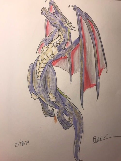 Some Dragon Doodles