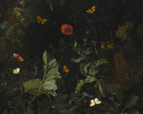 simena:NICOLAES DE VREE - A FOREST FLOOR STILL LIFE WITH BUTTERFLIES (detail)