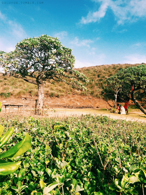 Postcards From Homelone house on the lone islandCalaguas Island, Camarines Norte / February 2017