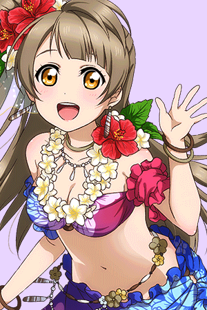School Idol Festival and Favorite Idolized Event SRs