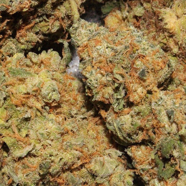 weedporndaily:  So frosty it whispers #blazeme #cannabis #smokeweedeveryday #weedporndaily