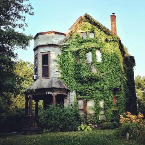 travelingcolors:Hepburn Avenue,Louisville | Kentucky (by Diane Deaton)