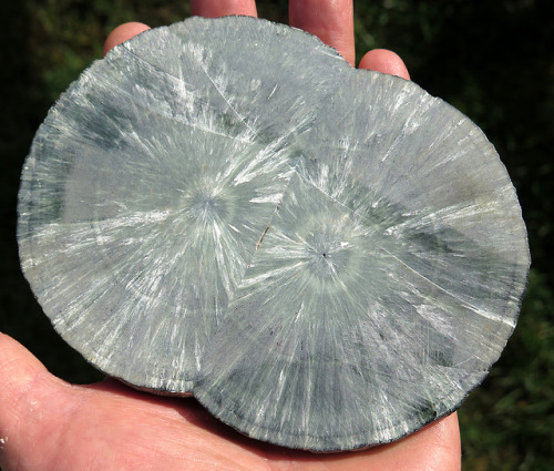 ghminerals: 5.25 inch Twin Seraphinite (Clinochlore) stalactite polished slice, Irkutskaya Oblast, E