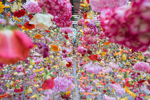 sad-plath: rebecca louise law