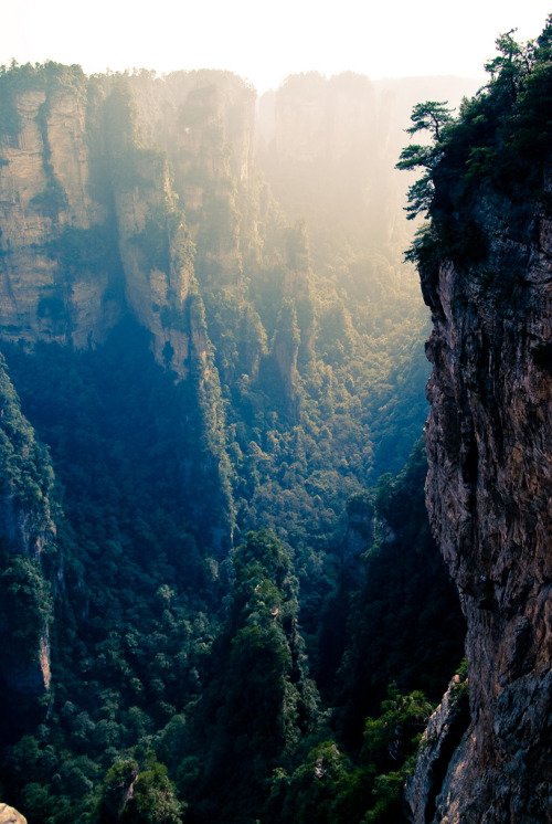 senerii:  Zhangjiajie, Hunan, China (By ⓨⓥⓔⓢ) 