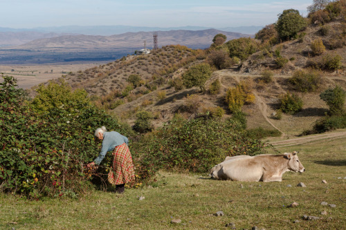 biladal-sham:Tavush, Armenia. 2013. Cristina Garcia Rodero