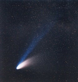 Astronomyblog: Comet C/1995 O1 Hale-Bopp, On March 14, 1997. On This Photo Obtained