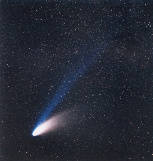 Comet C/1995 O1 Hale-Bopp, on March 14, 1997. On this photo obtained with a telelens, the dust tail 