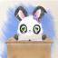 chubbybunny25