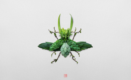 Raku Inoue ,  and his insects Raku is a “ Floral Artist Extraordinaire” who hails from Montreal , he