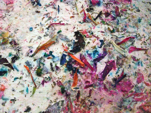likeafieldmouse:  Dan Colen - Psychotic Reaction (2011) - Flowers and gesso on canvas 