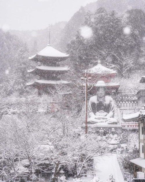 thekimonogallery:  Daibutsu in Nara, Japan. adult photos