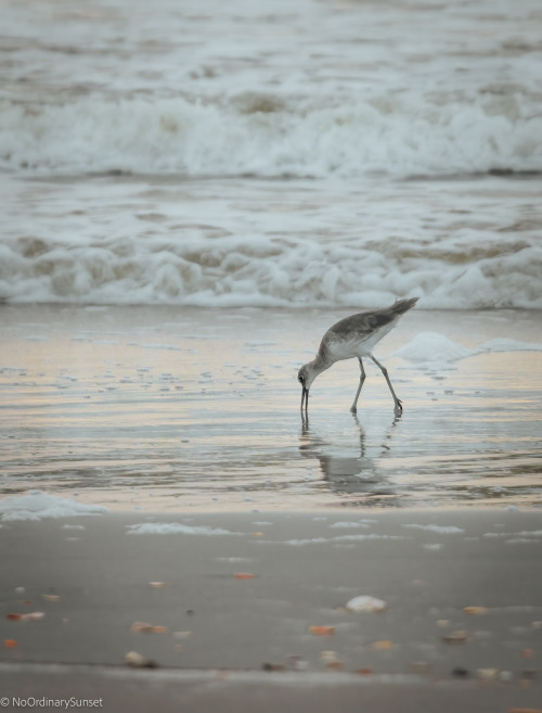 Freeman ParkCarolina Beach, North Carolina