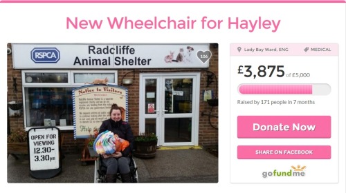 loobysims: Wow! Thank you so so much everyone i can not believe that my Gofundme is at £3,875!The do