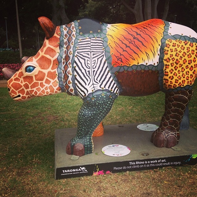 Toronto has moose, Sydney has rhinos to help Taronga zoo! #rhinos #Taronga #Sydney