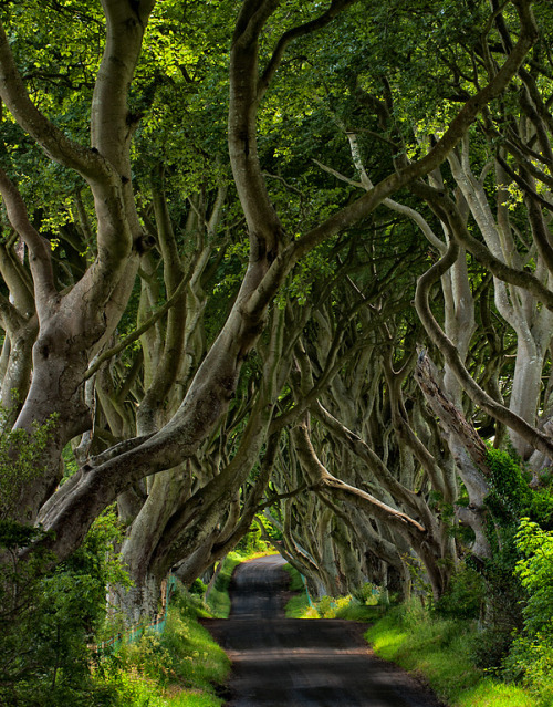 ….. I wanna live in the house this road leads to… =O