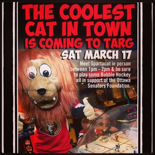 That’s right - Ottawa’s coolest cat @spartacat will be at the #arcade this Saturday from 1-2pm to gi