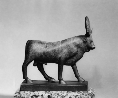 Apis Bull with Sun DiskLate Period, c. 500 - 400 B.C.