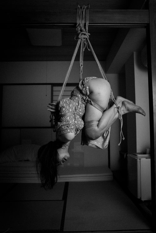 justscreenshots:  Shibari & Photo Kitaro