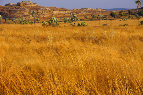 travelingcolors - Madagascar (by Bertrand Gossart)