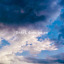 lostintheblues
